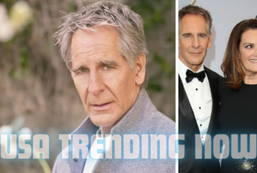 wil bakula