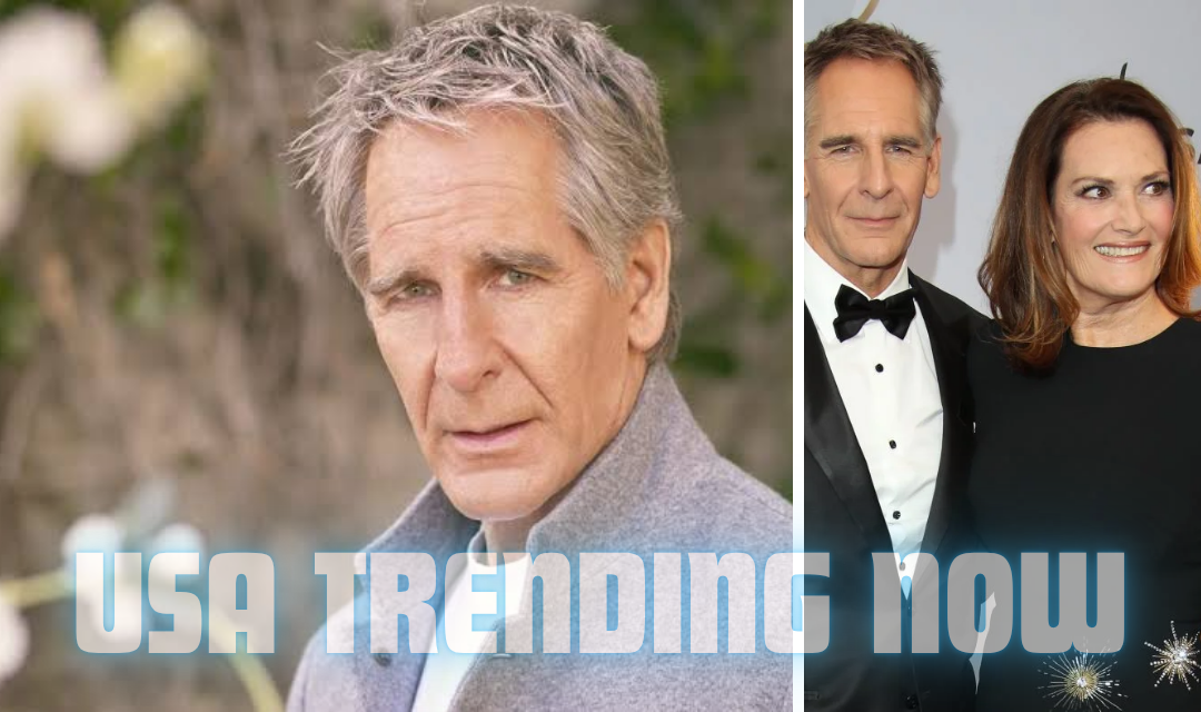 wil bakula