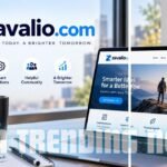 zavalio.com