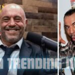 joe rogan net worth