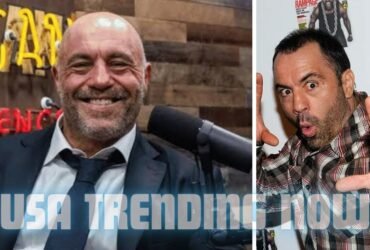 joe rogan net worth