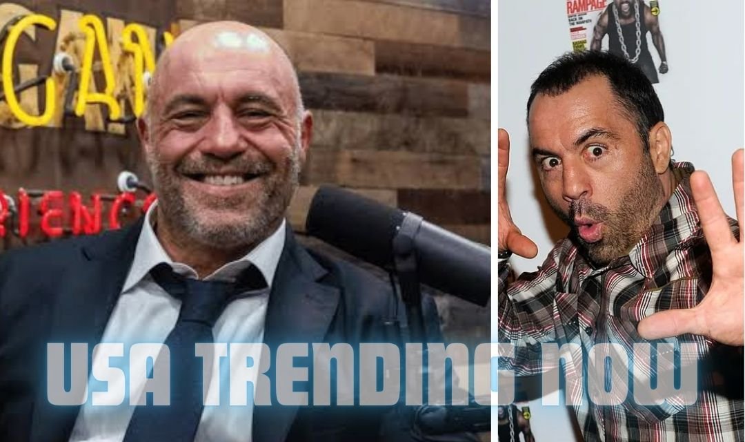 joe rogan net worth