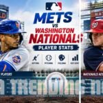 mets vs washington nationals match player stats