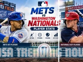 mets vs washington nationals match player stats