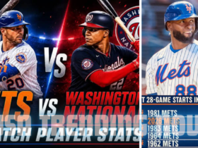 washington nationals vs mets match player stats