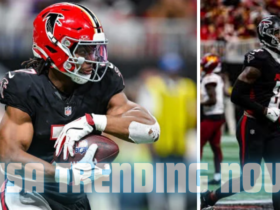 buffalo bills vs atlanta falcons match player stats